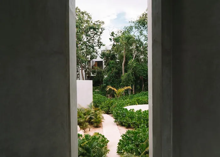 Seremonia Selva By Dream Vacay Apartamento